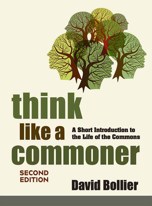 think like a commoner second edition book cover